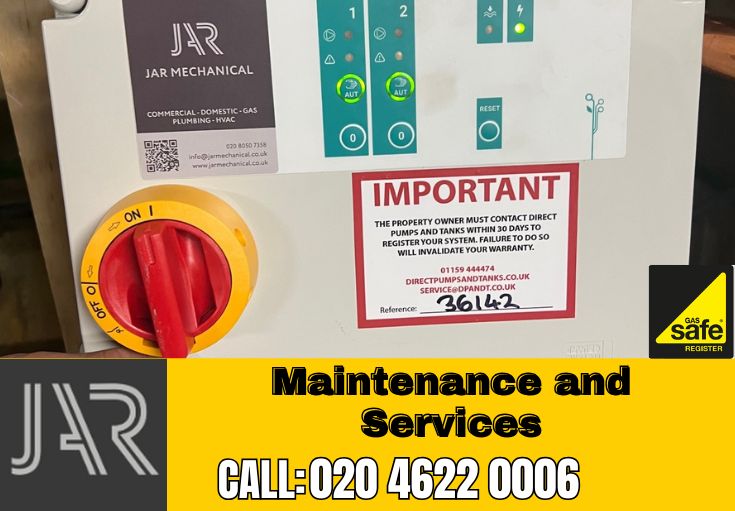 Domestic Maintenance and Services Penge